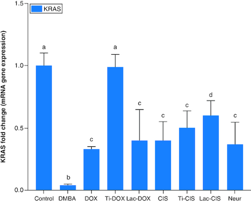 Figure 2. A comparative study between TiNPs-DOX, Lac-DOX, Cisplatin, TiNPs-CIS, Lac-CIS and Neupogen and their impact on KRAS gene expression post DMBA-induced leukemia.Data are expressed as mean ± S.E.M (n = 8). p ≤ 0.05 value is considered significant. Groups having the same letter are not significantly different from each other, while those having different letters are significantly different from each other. β-actin was used as reference gene.