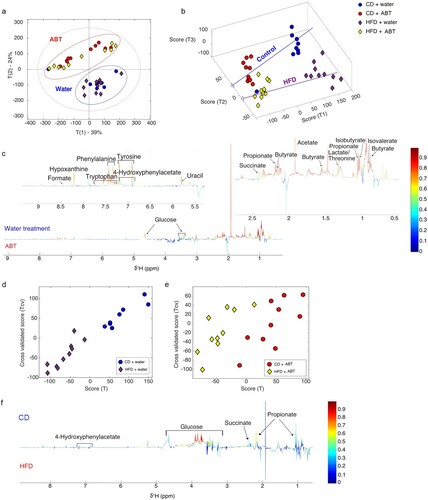 Figure 3. Antibiotic treatment strongly affects mice fecal metabolome and counteracts the impact of HFD. Analysis of cecal contents in control mice (‘water’) and mice treated with antibiotics (ABT) fed either a control diet (CD) or high-fat diet (HFD) for 4 weeks. (a) Principal component analysis (PCA) scores plot; blue-circle: water-control diet; red-circle: ABT-control diet; yellow-diamond: ABT-HFD; purple-diamond: ‘water’-HFD. (b) 3D OPLS-DA score plots using diet and treatment as vector response. The calculated scores are plotted against each other on the 3 axes. R2Y: [0.7649 0.5692 0.8818 0.4201]; R2Ycum: 0.6590; Q2Y: [0.2584 0.2665 0.5386 0.2094]; Q2cum: 0.3182. (c) Loadings plot derived from the above OPLS-DA model (panel b), describing the metabolic differences driving the separation along the x axis based on the treatment. Downward pointing metabolites: ABT; upwards pointing metabolites: ‘water’. (d) OPLS-DA scores plot using diet as response vector on ‘water’ only sub-group. Blue-circle: control diet; purple-diamond: HFD; R2Y: 0.8217; Q2Y: 0.6824. (e) OPLS-DA scores plot using diet as response vector on ABT only sub-group. Red-circle: control diet; yellow-diamond: HFD; R2Y: 0.7062; Q2Y: 0.0686. (f) Loadings plot derived from OPLS-DA model (panel d) describing the metabolic differences driving the separation between CD and HFD in mice receiving ‘water’. Upwards pointing metabolites: CD; downward pointing metabolites: HFD.