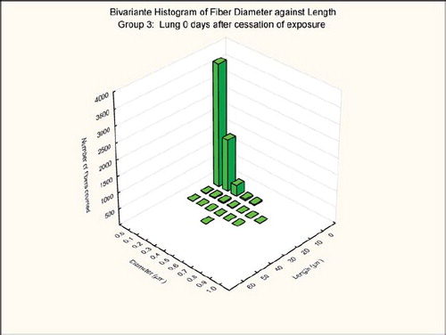 FIG. 9  Group 3, chrysotile and sanded material, bivariate length and diameter distribution measured of fibers recovered from the rat's lungs immediately after cessation of the 5-day exposure.