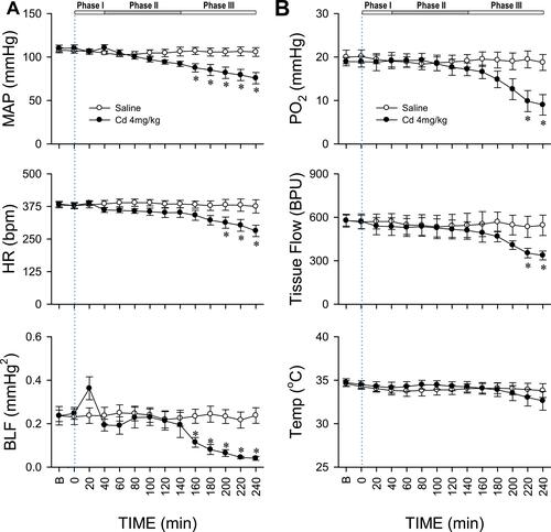 Figure 1 Cadmium induces triphasic cardiovascular responses in rats. (A) Temporal changes in mean arterial pressure (MAP), heart rate (HR), or power density of the low-frequency (BLF) component of systolic blood pressure spectrum in animals; (B) concurrent alterations in tissue oxygen tension (PO2), tissue perfusion (Tissue Flow) or tissue temperature (Temp) in rostral ventrolateral medulla (RVLM) of rats that received intravenous administration of cadmium (Cd; 4mg/kg) or saline. The three distinct phases based on augmented (Phase I), followed by a rebound (Phase II) and a secondary decrease (Phase III) power density of the BLF spectral component induced by cadmium are denoted on top of the figure. Values are mean ± SEM, n = 6 animals per experimental group. *P < 0.05 vs saline group at corresponding time points in the post hoc Tukey multiple-range test. Blue dotted line denotes time of cadmium injection. B denotes baseline values.