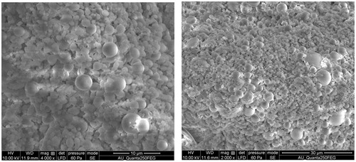 Figure 1. Field emission scanning electron microscopic image of phytol loaded PLGA nanoparticles.