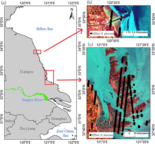 Figure 2. Overview of the study area; (a) shows the general location of the study area, (b) and (c) are Sentinel-2 images on 18 February 2020 and 13 April 2020, respectively, the names of the areas in (b) and (c) are Sheyang estuary and Radiation Sandbar, respectively, which belong to the wider area of intertidal mudflats in Jiangsu, and the intertidal mudflats in Jiangsu north of Sheyang estuary are gradually decreasing in extent, the black dot pixels in (b) and (c) are schematic diagrams of some location points of ICESat-2 photon data in 2022 located in the intertidal mudflat area.
