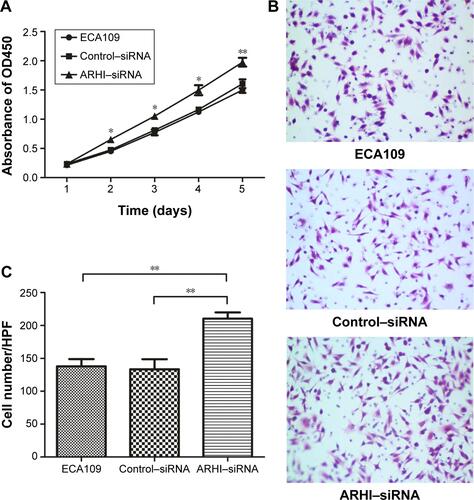Figure S1 (A) Cell proliferation was assessed daily for 5 days using the Cell Counting Kit-8 assay in ECA109 group, Control-siRNA group and ARHI-siRNA group; (B) Transwell assays were used to examine the involvement of ARHI for invasion in ECA109 group, control–siRNA group, and ARHI–siRNA group (original magnification ×200); (C) the cell counts of the ECA109 group, control–siRNA group, and ARHI–siRNA group in transwell assays.Notes: *P<0.05, **P<0.01.Abbreviations: ARHI, aplysia ras homolog I; siRNA, small interfering RNA; HPF, high power field.
