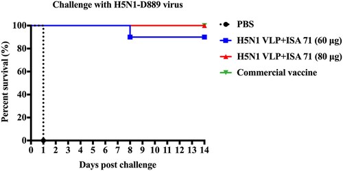 Figure 6. Survival rates of the chickens after lethal H5N1-D889 virus challenge. At 3 weeks after immunization, groups of immunized chickens were intranasally challenged with a high lethal dose (106.0 EID50) of H5N1-D889 virus. Survival rates of chicken were measured daily for 14 days after challenge. PBS group (n = 5), vaccine group (n = 10).