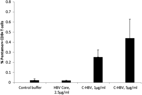 Figure 11. Generation of HBV core peptide pentamer-specific T cells.