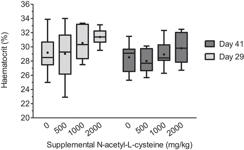 Figure 1. Effect of N-acetyl-L-cysteine supplementation (Exp I) on haematocrit in male broilers subjected to chronic cyclic heat stress in the finisher phase.