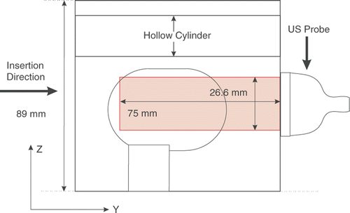 Figure 5. Cross section of the tissue phantom, showing the position of the probe and the US imaging plane.