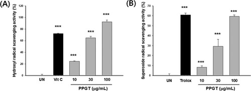 Figure 2. Hydroxyl (A) and superoxide (B) radical scavenging activity of PPGT. The values shown are means ± SD of changes in hydroxyl and superoxide radical scavenging activity. ***p < .001 compared with the untreated (UN) group.