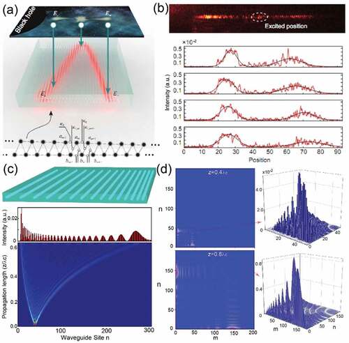 Figure 5. Quantum simulations of general relativity phenomena with waveguide arrays. (a, b) Quantum simulation of particle pair creation near the event horizon [Citation132]. (a) The schematic of mapping the behavior of fermion pair into a waveguide array. (b) The imagined output probability distribution of single-photon wave packet and the output probability distributions with different excited positions in the same lattice. (c, d) Quantum walks of single photons and entangled photons in nonuniform waveguide arrays corresponding to a noninertial frame with the Rindler metric [Citation133]. (c) Quantum walks of single photons exhibits that photons are captured by the event horizon. (d) Quantum walks of path-entangled photons exhibits that one photon is captured, while the other photon escapes.