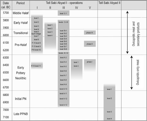 Figure 2 The chronology of Tell Sabi Abyad I and Tell Sabi Abyad II, showing culture-historical terminology and absolute dates cal. BC (adapted from Nieuwenhuyse et al. Citation2010: 78).