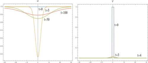 Figure 6. System (I) with m=2, l=1, D=4 and k=1.