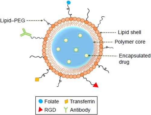 Figure 25 Types and structures of hybrid nanocarrier.Notes: Adapted from Prabhu RH, Patravale VB, Joshi MD. Polymeric nanoparticles for targeted treatment in oncology: current insights. Int J Nanomed. 2015;10:1001-1018.Citation84