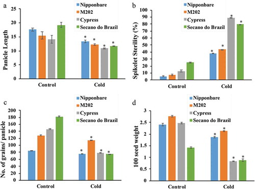 Figure 2. Yield parameters evaluated for different rice genotypes treated to low temperature.Plants treated to control (28°C) and cold stress (10°C) showed response in: (a) Panicle length, (b) Spikelet sterility, (c) Number of grains/panicle, and (d) Grain weight. Data are expressed as the mean of five replications. The asterisks indicate significance at P ≤ 0.01 compared to the control as analyzed by Student’s t-test.