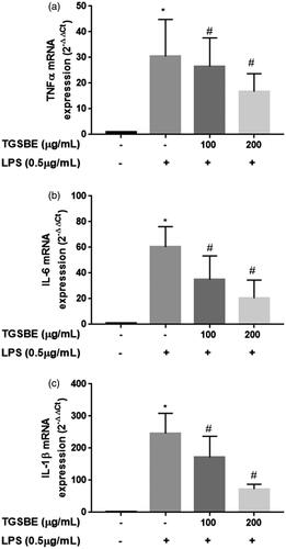 Figure 3. Effect of TGSBE on LPS-induced mRNA expression of TNFα, IL-6 and IL-1β in RAW264.7 cells. The cells were pre-incubated with indicated concentrations of TGSBE for 1 h, followed by LPS (0.5 μg/mL) for 12 h. Then, total RNA was extracted and mRNA expression of TNFα, IL-6 and IL-1β was analyzed by real-time RT-PCR. Data represent mean ± SD from three separate experiments. *p < 0.05, significant compared to control, #p < 0.05, significant compared to LPS alone treated group.