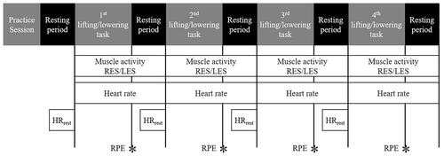 Figure 3. Overview of the measuring times of the different variables. Each task was followed by a resting period. Muscle activity and heart rate were measured continuously and RPE was obtained after completing the lifting/lowering task. As reference value, HRrest was determined before each task after a resting period and in the same, sitting position. Muscle activity and heart rate were measured continuously, RPE was obtained after completing the lifting/lowering task and HRrest was determined before each task after a resting period.