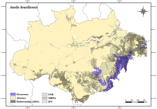 Figure 5. Occurrence area and records of Anolis brasiliensis in the Brazilian Amazonia, showing the overlap with protected and deforested areas.