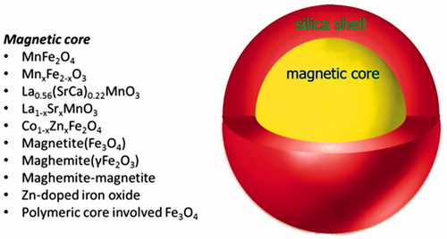 Figure 3. Different magnetic cores used in core/shell structure of silica nanocomposites.