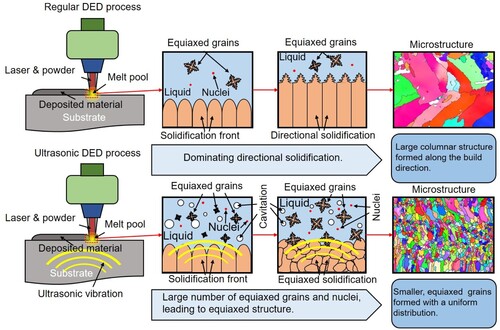 Figure 15. Schematics diagram of AA7075 microstructure evolution during the laser DED processes with and without ultrasonic assistance.