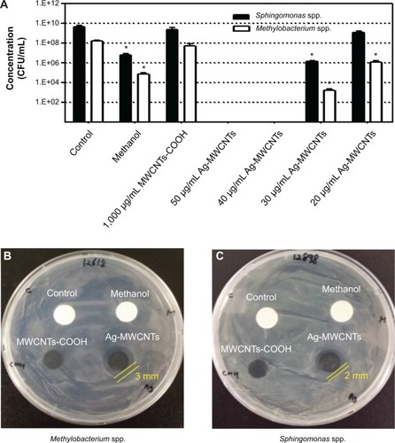 Figure 3 Antibacterial evaluation of Ag-MWCNTs.Notes: (A) Antibacterial activity of different samples against Sphingomonas spp. and Methylobacterium spp. Concentration (CFU/mL): *P<0.05, one-tailed Mann–Whitney U-test. Data are representative of three experiments. (B) Evaluation of inhibition zones by different samples for Methylobacterium spp. and (C) Sphingomonas spp.Abbreviations: CFU, colony forming units; MWCNT, multi-walled carbon nanotube, MWCNTs-COOH, acidified MWCNTs.