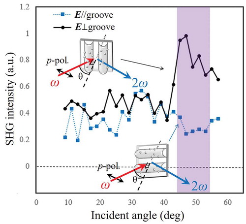 Figure 6. (a) The SHG intensities from the Ag NC-LIPSSs as a function of the incident beam angle with polarizations either parallel or normal to the grooves. The data points are connected by lines to guide the eye. The color part from 45° to 55° shows broadened SP resonance.