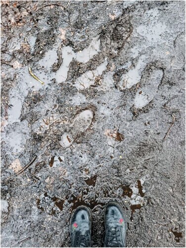 Figure 2. Footprints. In-Common Sites, Walk No. 1, Mousehold Heath, Norwich. 2021. Image: Cora (Sprowston Youth Engagement Project).