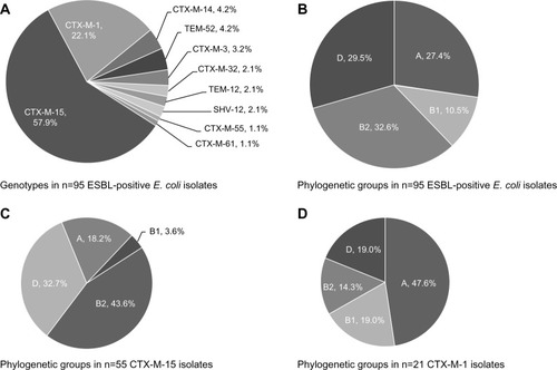 Figure 1 (A–D) Distribution of genotypes and phylogenetic groups of 95 extended-spectrum β-lactamase (ESBL)-producing Escherichia coli isolates from patients with bloodstream infection. (A) ESBL genes in all 95 ESBL E. coli isolates (n=95); (B) phylogenetic groups of all 95 ESBL E. coli isolates; (C) phylogenetic groups of CTX-M-15 E. coli isolates (n=55); (D) phylogenetic groups of CTX-M-1 E. coli isolates (n=21).Abbreviation: ESBL, extended-spectrum β-lactamase.