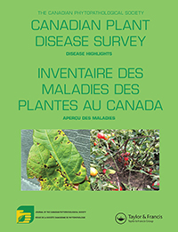 Cover image for Canadian Journal of Plant Pathology, Volume 41, Issue sup1, 2019