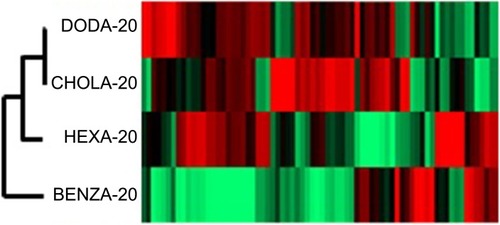 Figure 8 Cluster analysis for comparison of the NG corona proteins shows the grouping of the NGs regarding similarity within the protein corona.Notes: Similarities and differences in the protein coronas of the NGs are visualized using a HCA. Each protein (every rectangle stands for a different identified protein) is compared to PHPMA, which serves as a benchmark particle (values are normalized) and values are transformed into a heat map. Red shows a higher intensity and green a lower intensity compared to PHPMA.Abbreviations: NGs, nanogels; HCA, hierarchical cluster analysis; PHPMA, poly(N-(2-hydroxypropyl)methacrylamide).