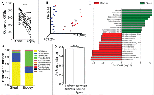 Figure 1. (A) The luminal microbiome (represented by fecal samples) has higher microbial diversity than the mucosal microbiome (represented by biopsy samples) as determined by paired t-test. ***P < 0.0005. (B) PCoA plot of unweighted UniFrac distance, showing that the bacterial communities of the stool samples (blue dots) were distinct from those in the biopsy samples (red dots). (C) Relative abundance of taxonomic groups averaging across stool and biopsy samples, with the 10 most abundant phyla being represented. (D) Average UniFrac distance calculated between the luminal and mucosal microbial communities was greater than the average UniFrac distance calculated for different microbial communities between different individuals. (E) Bacterial taxa identified to be differentially abundant in the mucosal and luminal microbiome by LEfSe, at a logarithmic LDA threshold score of 2.0.