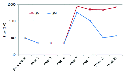 Figure 1. IgM and IgG fractions of serum antibodies from immunized subject bind to MAP form of P10s in ELISA assays. ELISA plates were coated overnight and serum samples were diluted from 1:100 to 1:12 800. Reactivity was visualized using HRP-conjugated mouse anti-human antibody. Titers were estimated from absorbance- vs. -dilution curves by linear regression as described in the Methods section.