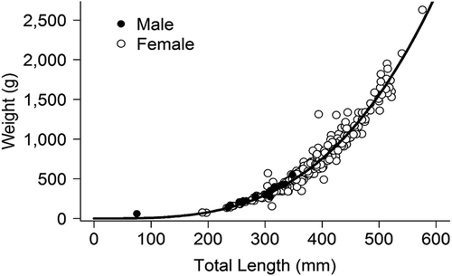 FIGURE 4. Weight-at-length relationship for female Southern Flounder (n = 395; open circles) collected from Mississippi waters of the Gulf of Mexico. The curve is a power function fitted to female-specific data. Data were insufficient to fit a model for male Southern Flounder (n = 18; black shaded circles).