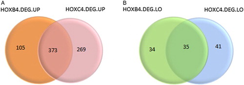 Figure 1 Differentially expressed genes. (A) indicates highly expressed genes, (B) indicates lowly expressed genes. Orange and green represent DEGs in HOXB4-treated hematopoietic cells; pink and blue green represent DEGs in HOXB4-treated hematopoietic cells.