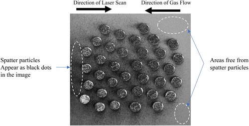 Figure 6. Top view image of the powder bed and the fatigue specimens. Spatter particles appear as black dots in the image and are more frequently found in the centre and towards the left-hand side of the build plate.