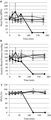 Figure 3.  No significant change in physiological parameters between treatment groups. (A) Heart rate; measured in beats per minute (bpm). (B) Systolic blood pressure. (C) oxygen saturation (SP2O2). Error bars represent standard deviation. Mean of survivors only. •, Control; ×, early ITClamp; ▴, standard gauze; ░, late iTClamp.