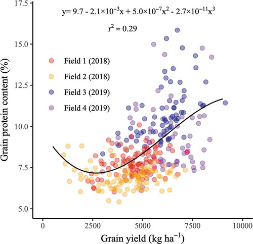 Figure 6. Relationship between observed grain yield and protein content. The solid line represents the regression curve with the r2 and regression equations. The red and orange circles represent samples in 2017 from Field 1 and Field 2, respectively. Blue and purple circles represent samples in 2018 from Field 3 and 4, respectively