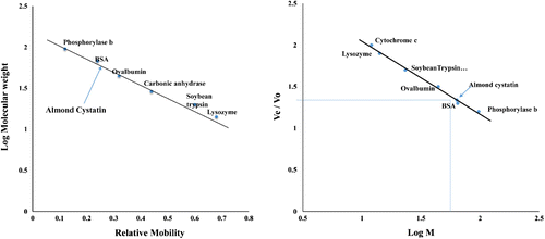 Figure 2. (A) Log M of marker proteins was plotted against relative mobility (Rm) of molecular weight markers for determination of molecular mass of almond cystatin. Molecular weight of standard marker proteins is A, Phosphorylase b (97.4 kDa); B, Bovine Serum Albumin (66 kDa); C, Ovalbumin (43 kDa); D, Carbonic Anhydrase (29 kDa); E, Soyabean Trypsin Inhibitor (20.1 kDa); F, Lysozyme (14.3 kDa). (B) Molecular weight determination of purified almond cystatin using Sephacryl S-100 HR gel filtration chromatography. Purified almond cystatin was applied on a column of Sephacryl S-100 HR (60 × 1.7 cm) and eluted with 50 mM sodium phosphate buffer, pH 7.5 at a flow rate of 15 ml h−1. The molecular weight markers used were, cytochrome c (12 kDa), lysozyme (14.3 kDa) soyabean trypsin inhibitor (20 kDa), ovalbumin (45 kDa), BSA (68 kDa), and phosphorylase b (97.4 kDa). Arrow shows the position of almond cystatin elution.