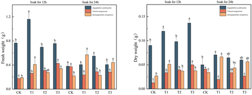 Figure 4. Effect of IAA immersion and exogenous melatonin treatment at different times on fresh and dry weight of three desert plants.