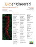 Cover image for Bioengineered, Volume 4, Issue 6, 2013