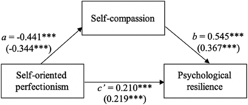 Figure 1. Model showing self-compassion as the mediator in the relationship between self-oriented perfectionism and psychological resilience.