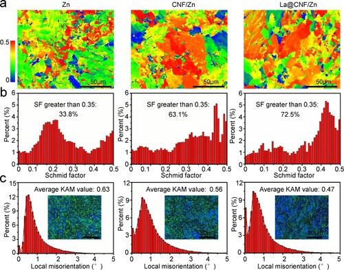 Figure 6. (a) Schmid factor maps and (b) corresponding distribution for tensile samples with a stress–strain of 3%; different colours represented various Schmid factors (SF); (c) Kernel average misorientation (KAM) maps and distribution.