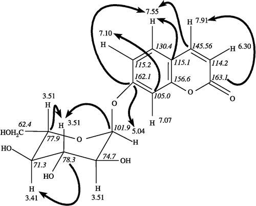Figure 1 Key heteronuclear multiple bond connectivity (HMBC) interactions in compound 1.