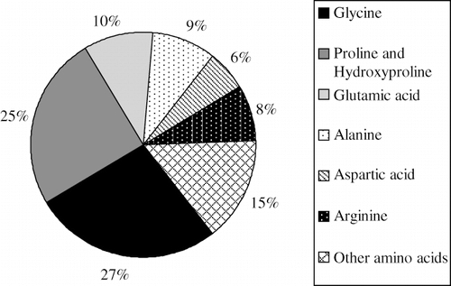 Figure 5 A typical gelatin amino acid composition.