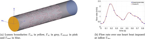 Figure 3. Definition of Γ and inflow boundary conditions.