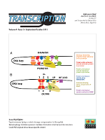 Cover image for Transcription, Volume 4, Issue 5, 2013