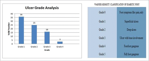 Figure 4. Ulcer grade analysis and categorization – majority of patients (36 patients) had superficial ulcers.