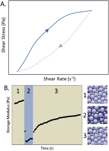 Figure 3. (A) Hysteresis loop showing a thixotropic material response for a PVP-methanol binder loaded with 61.4 vol% glass particles. (B) 3 interval thixotropy test (3ITT) for the same formulation. In the first interval, the structure is at rest at a low strain. In the second interval, a stress is applied to break up the network of particles. During the last interval, the same low strain is applied while the particles rearrange into a stable structure.