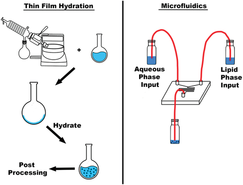 Figure 4. TFH vs. MFs processes being used for the manufacture of lipid-based nanoformulations.