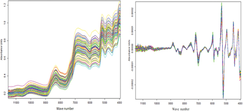 Figure 2. Raw and preprocessed spectral features of all samples.