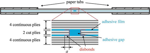 Figure 1. Side view representation of the adhesively-bonded Central Cut Plies specimen with four disbonds.