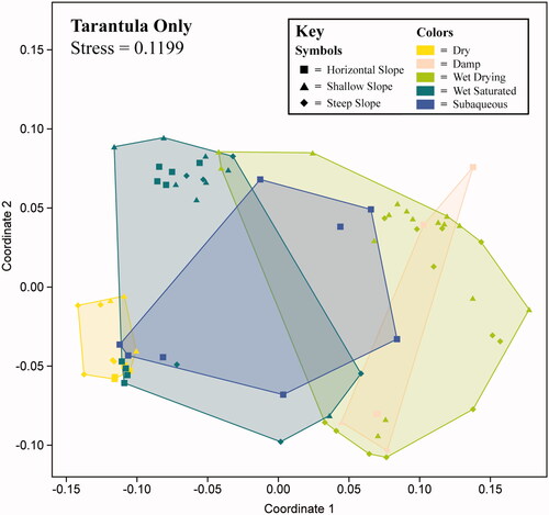 Figure 20. Non-metric multidimensional scaling (N-MDS) visualization for tarantula trackways grouped by condition (Overall N = 76; stress = 0.1199). For the variables used, see Table 3.